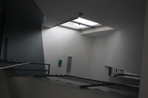 IMG 3665