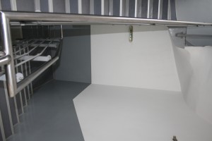 IMG 3666