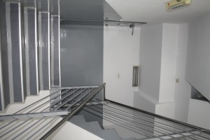 IMG 3667