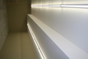 IMG 5823
