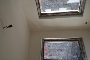 IMG 7303