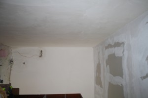 IMG 7551