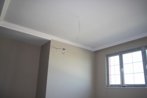 IMG 9230