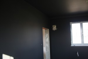 IMG 9250